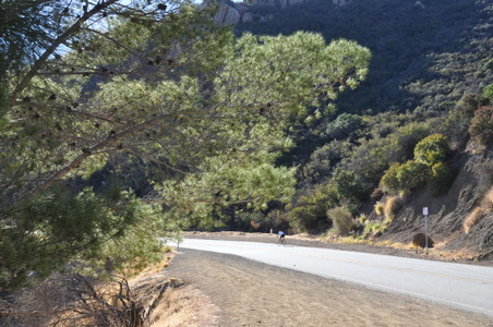Enlarge photo 24