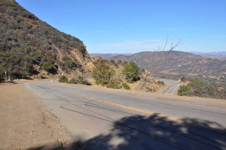 Enlarge photo 31
