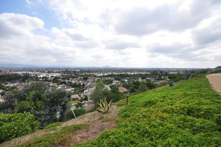 Enlarge photo 70