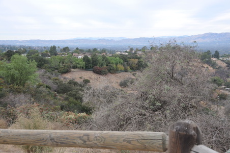 Enlarge photo 19