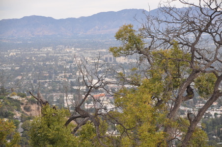 Enlarge photo 27
