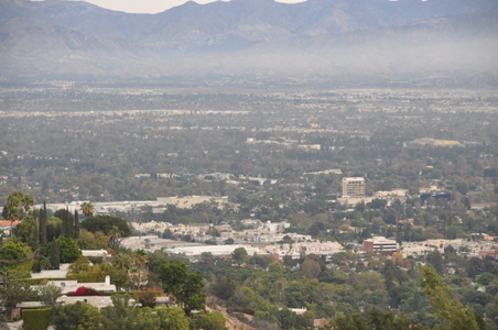 Enlarge photo 30