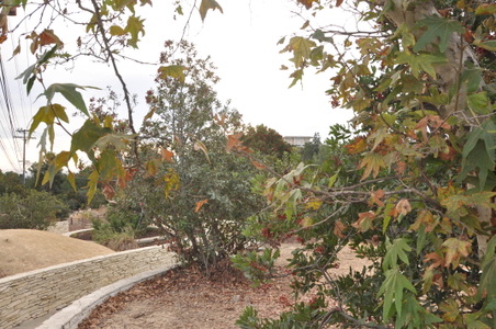 Enlarge photo 31