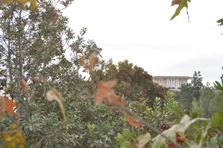 Enlarge photo 32