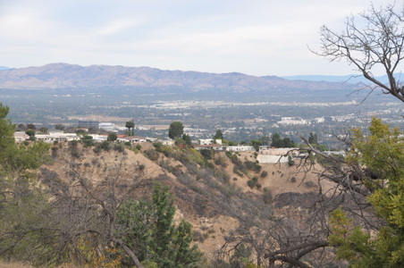 Enlarge photo 36