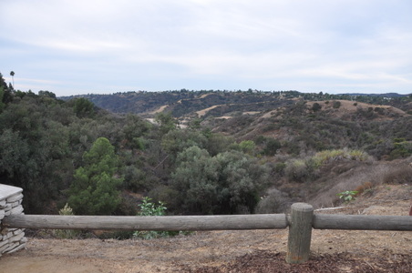 Enlarge photo 39
