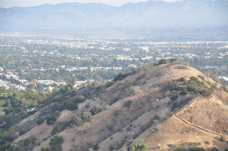Enlarge photo 14