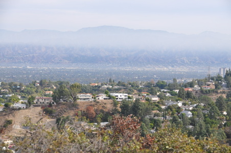 Enlarge photo 16