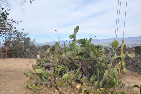 Enlarge photo 21