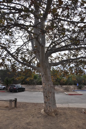 Enlarge photo 25