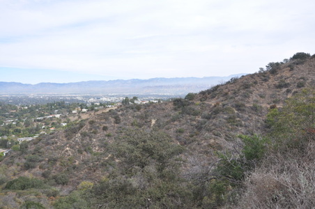 Enlarge photo 31