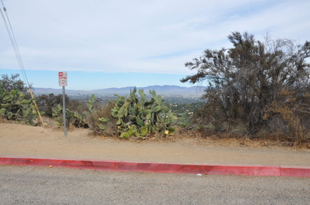 Enlarge photo 33