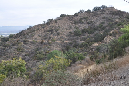 Enlarge photo 9