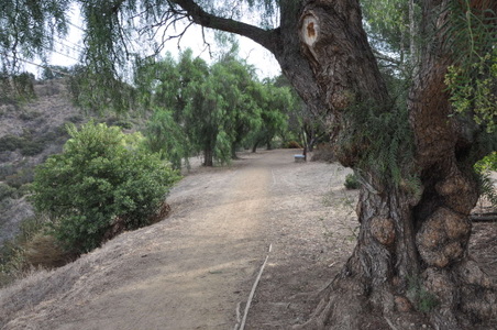 Enlarge photo 11