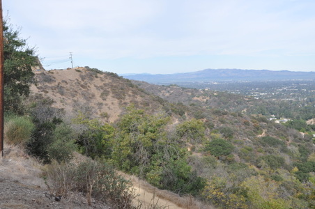 Enlarge photo 14