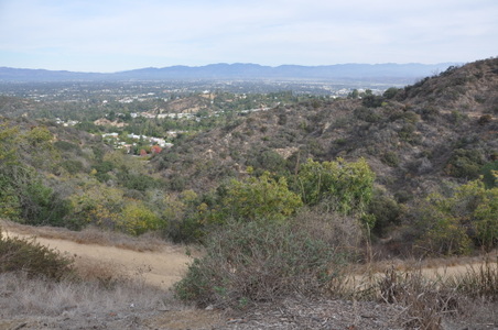 Enlarge photo 16