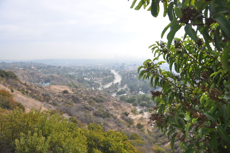 Enlarge photo 30