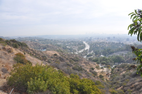 Enlarge photo 35
