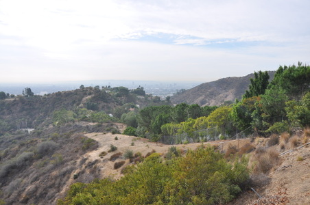 Enlarge photo 45