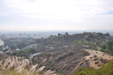 Enlarge photo 44