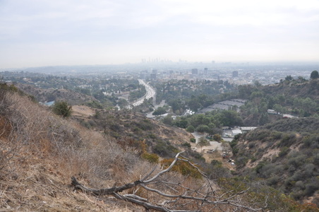 Enlarge photo 48