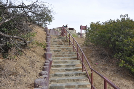 Enlarge photo 52