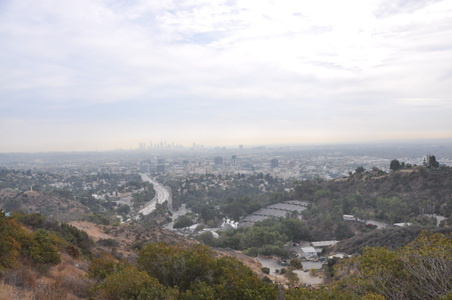 Enlarge photo 57