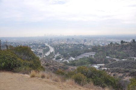 Enlarge photo 59