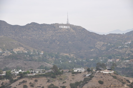 Enlarge photo 62