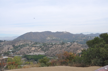 Enlarge photo 64