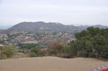 Enlarge photo 77