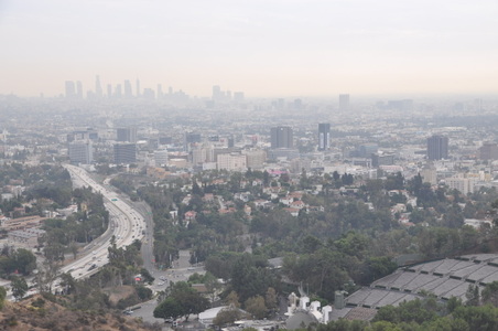 Enlarge photo 81