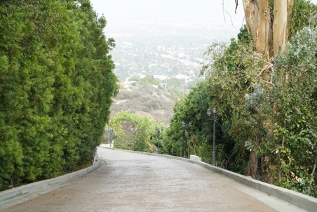 Enlarge photo 17