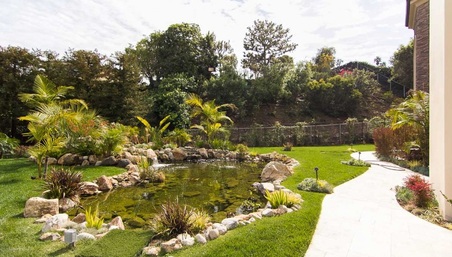 Enlarge photo 63