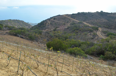 Enlarge photo 19