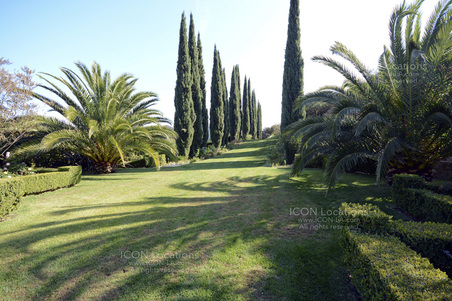 Enlarge photo 31