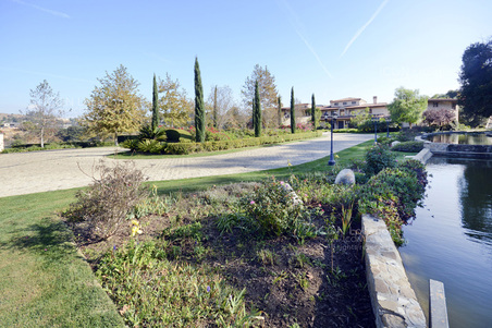 Enlarge photo 8