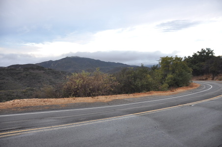 Latigo