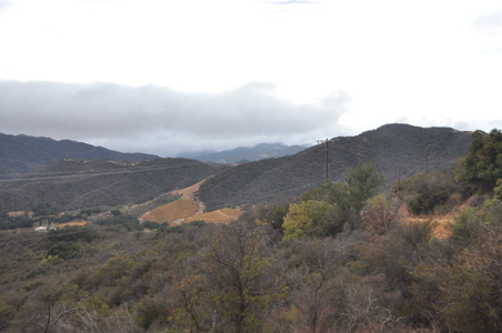 Enlarge photo 7