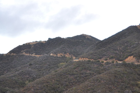 Enlarge photo 16