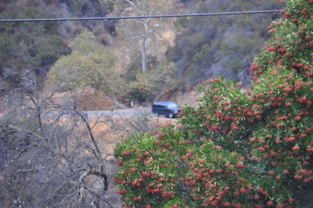 Enlarge photo 21