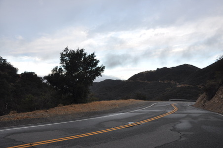 Enlarge photo 24