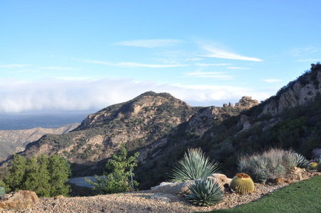 Enlarge photo 47