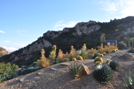 Enlarge photo 53