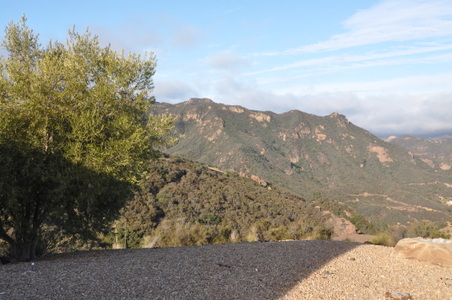 Enlarge photo 58