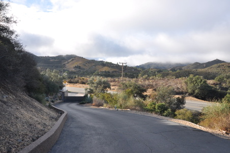 Enlarge photo 80