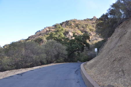 Enlarge photo 81