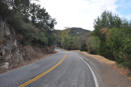 Enlarge photo 25