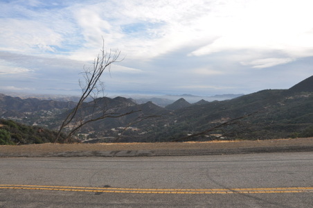 Enlarge photo 32