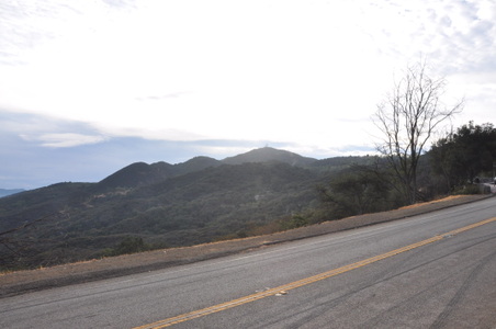 Enlarge photo 33
